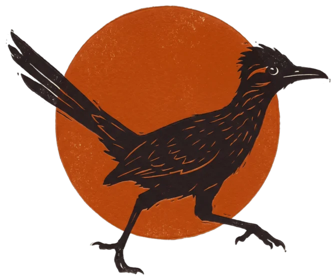 Roadrunner Design